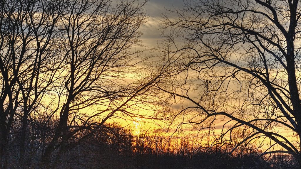 Image by 6151189 via Pixabay.com trees and sunset in Lancaster, OH