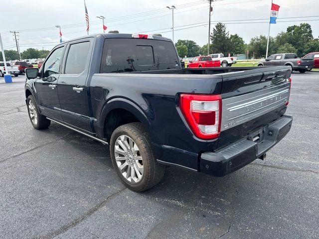 2024 Ford F-150 Platinum