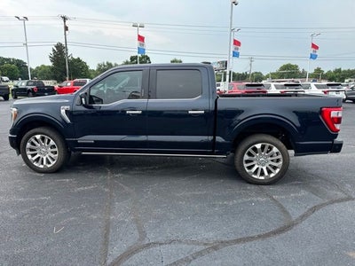 2024 Ford F-150 Platinum