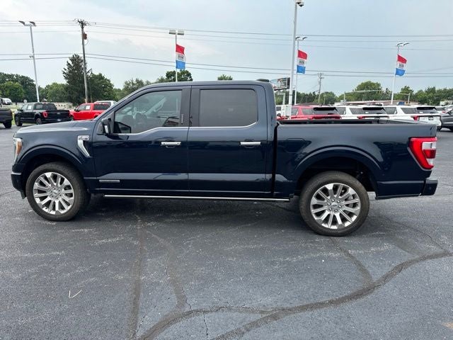 2024 Ford F-150 Platinum