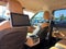 2023 Kia Carnival LX Seat Package